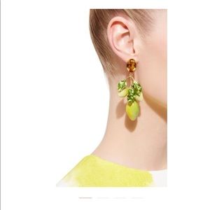 Authentic Dolce & Gabbana Earrings